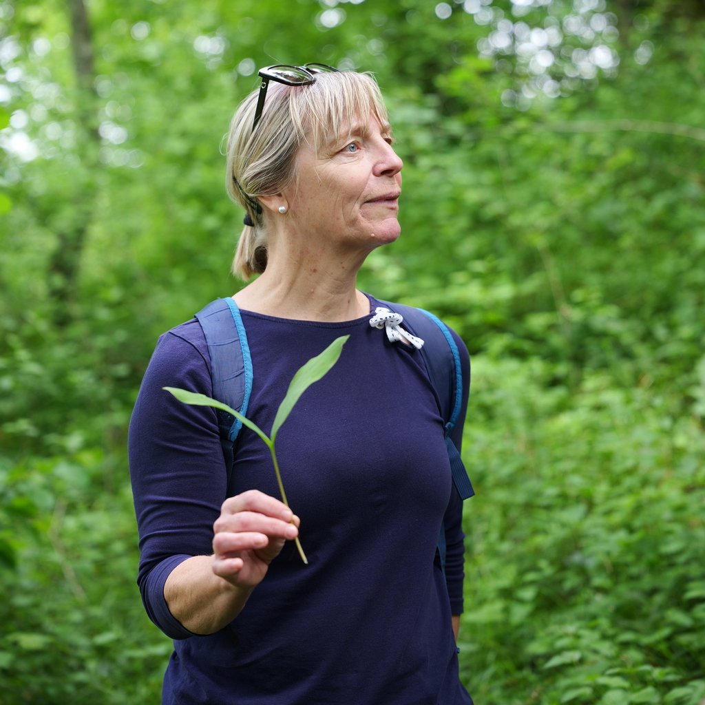 Il Festival della flora alpina di Bohinj 7 La nostra guida esperta botanica Majda Ribnikar.