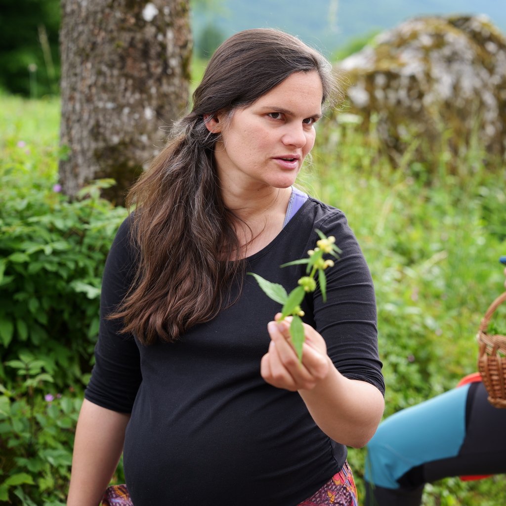 Il Festival della flora alpina di Bohinj 8 La prof. Karmen Gajšek ci mostra i fiori commestibili di Bohinj.