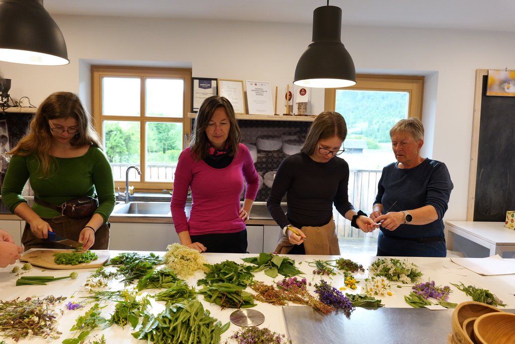 Il Festival della flora alpina di Bohinj 11 Pronte per preparare la nostra cena di erbe alpine!