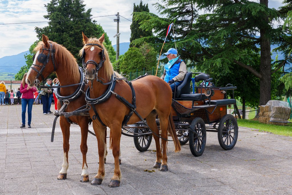 In carrozza col Konjeniško društvo Soča.
