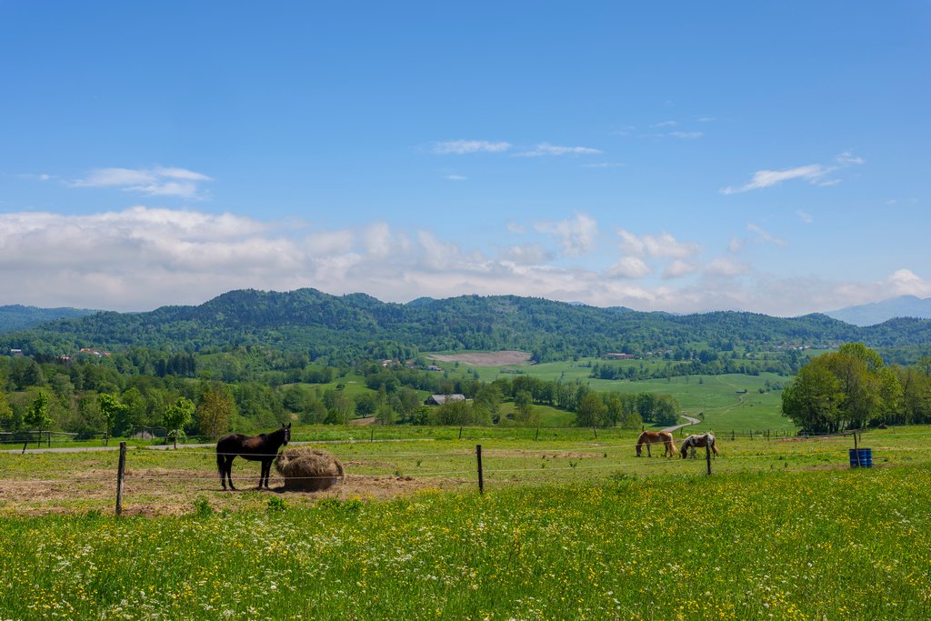 Lo splendido altopiano di Banjšice. Itinerari a cavallo nel Goriziano.