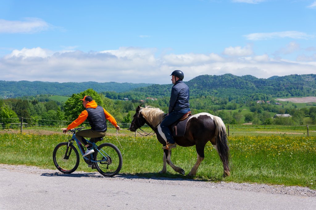 Imparando a cavalcare al DS Camping di Banjšice. Itinerari a cavallo nel Goriziano.