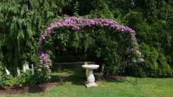 Attorno a Kamnik tra rose, terme e malghe