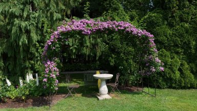 Attorno a Kamnik tra rose, terme e malghe