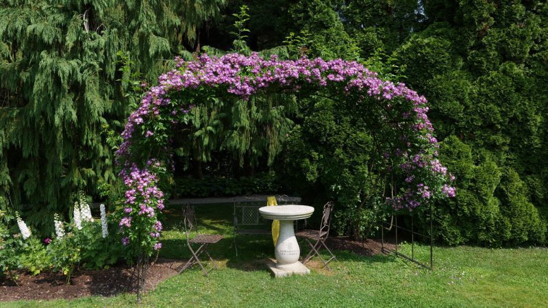 Rose, terme e malghe: cosa vedere nei dintorni di Kamnik 12 Attorno a Kamnik tra rose, terme e malghe