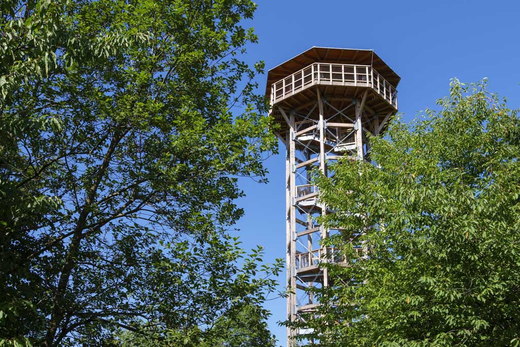 La torre, simbolo della "passeggiata tra i tronchi" di Pomona.