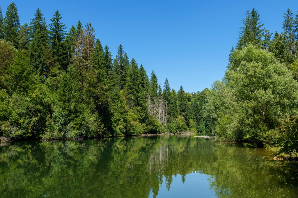 Reško jezero, il secondo lago del Kočevsko, dalle acque verdi.