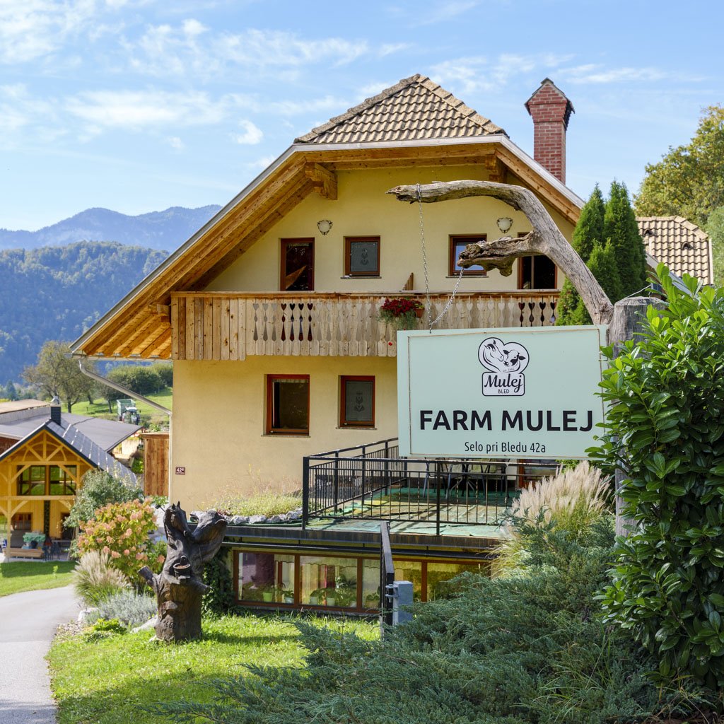 La fattoria Mulej a Selo, a 15 minuti a piedi dal lago di Bled.
Agriturismi in Slovenia.
