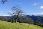 Agriturismi in Gorenjska: 6 fattorie autentiche dove dormire in Slovenia