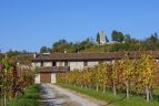 Cantine aperte a San Martino: un viaggio enogastronomico in Friuli