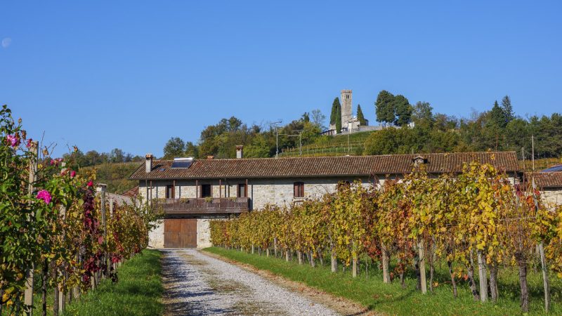 Cantine aperte a San Martino: un viaggio enogastronomico in Friuli