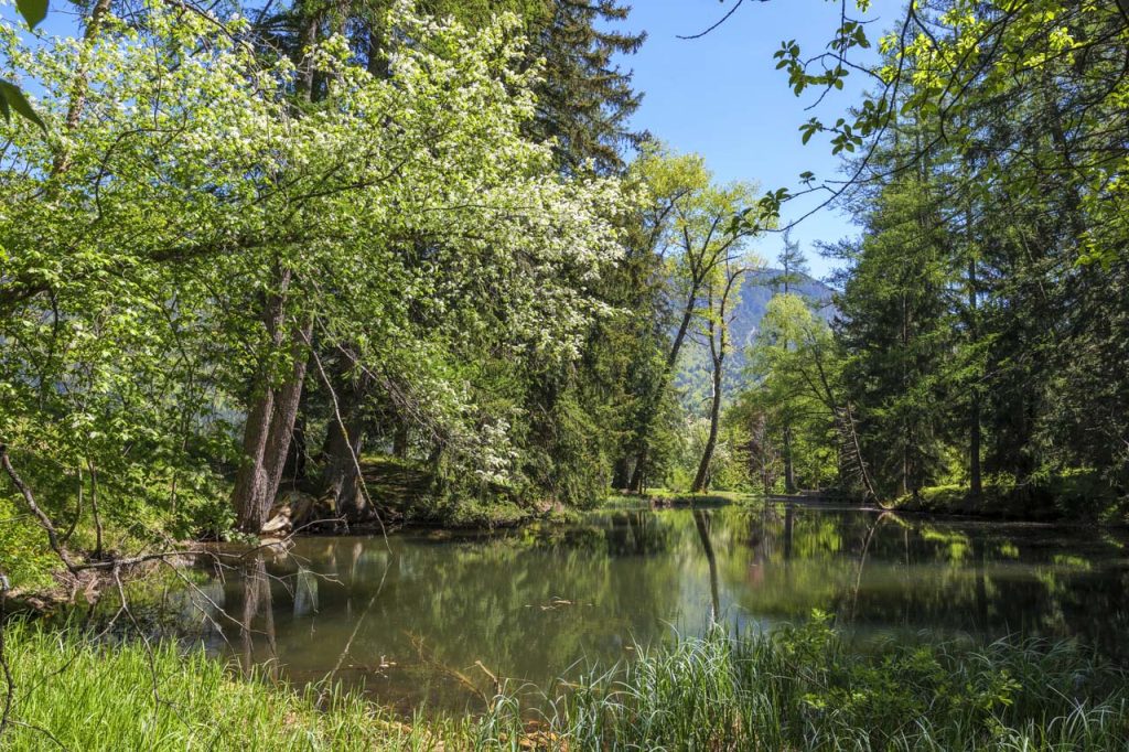 L'idilliaco Parco di Zois a Javorniški Rovt.