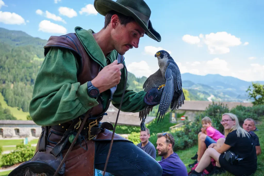 Cosa vedere a Werfen e dintorni: itinerario di 2 giorni nel Salisburghese 12 Il falconiere con un falco pellegrino sul guanto.