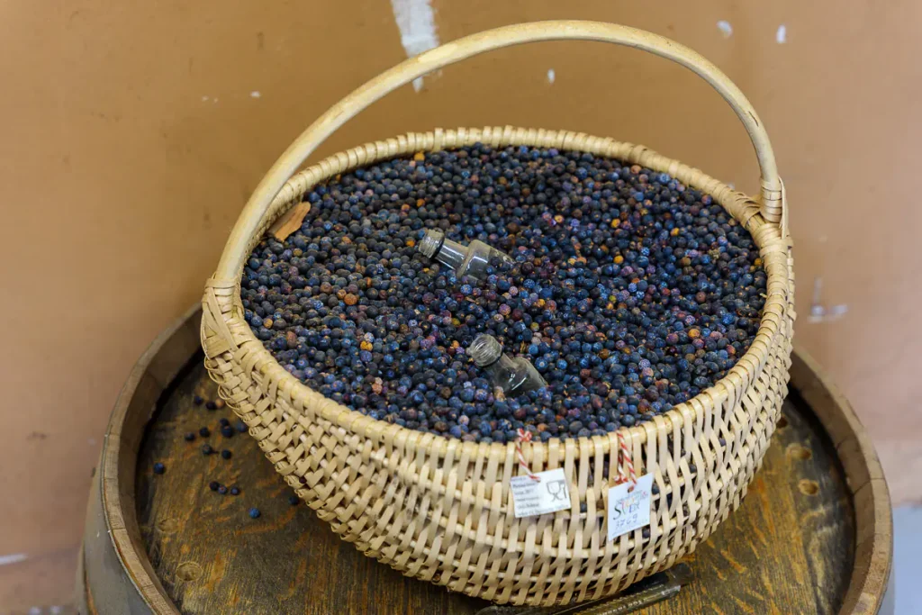Cosa vedere in Dolenjska: itinerario di 3 giorni tra natura, storia e ospitalità 40 La materia prima principale da Berryshka è il ginepro.
