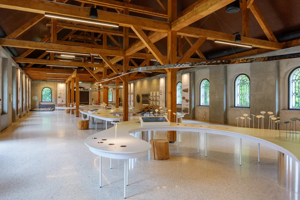 Cosa vedere in Dolenjska: itinerario di 3 giorni tra natura, storia e ospitalità 11 All'interno del nuovissimo museo Natura 2000 a Dvor.