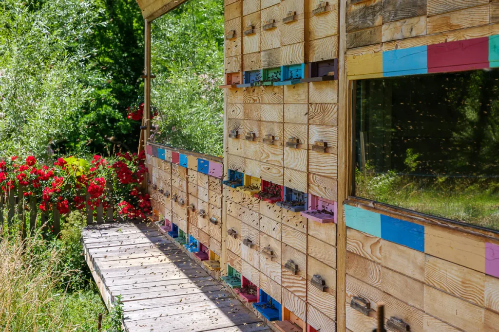 Cosa vedere in Dolenjska: itinerario di 3 giorni tra natura, storia e ospitalità 32 L'apiario di Medeno Doživetje a Novo mesto.