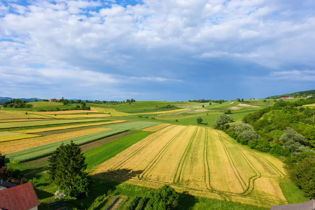 Cosa vedere in Dolenjska: itinerario di 3 giorni tra natura, storia e ospitalità 27 La vista sulla campagna della Dolenjska dal campanile della chiesa di Šmarjeta.