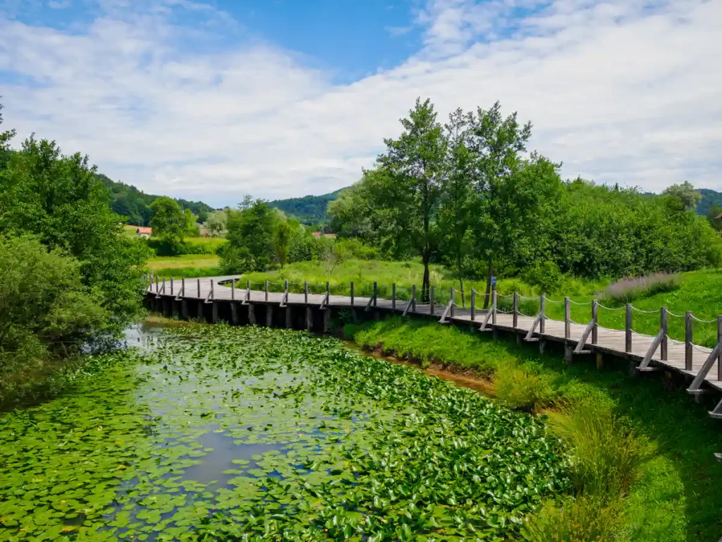 Alla scoperta di Škofljica: itinerario verde e insolito alle porte di Lubiana 4 Il Parco dei Sensi (Park Čutil) a Škofljica.
