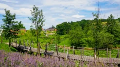 Alla scoperta di Škofljica: itinerario verde e insolito alle porte di Lubiana