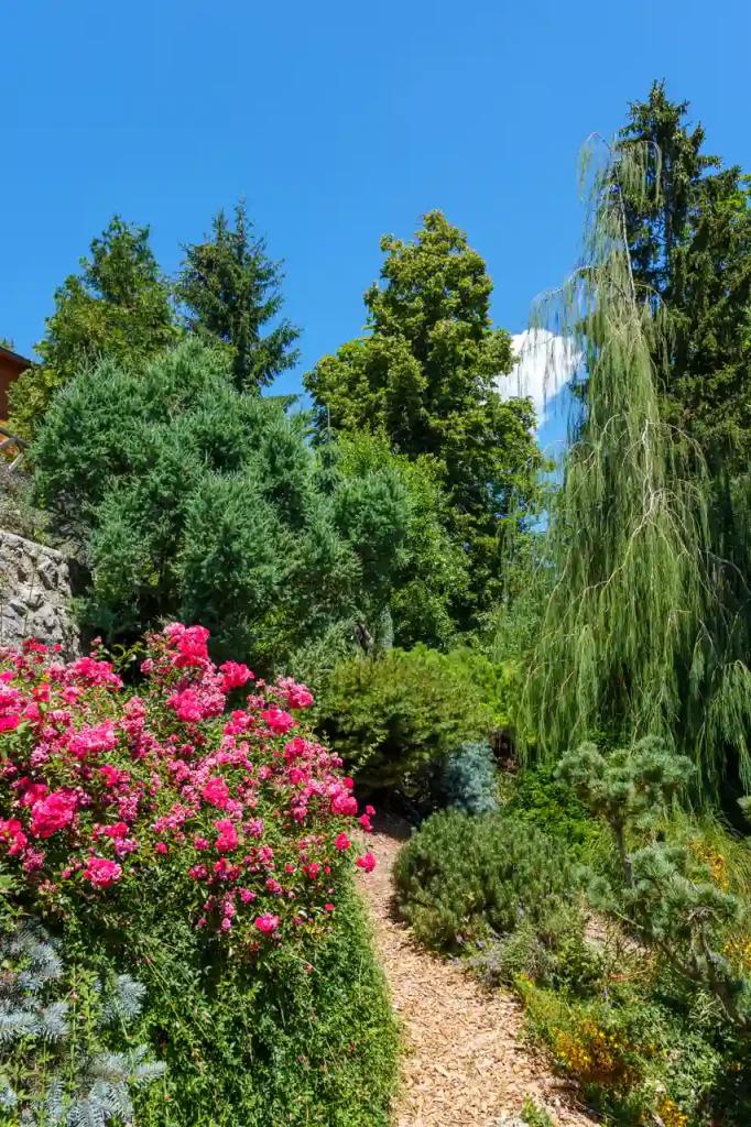 Litija e GEOSS, il cuore geografico della Slovenia: esperienze uniche nelle viscere della terra e tra le fronde degli alberi 10 Passeggiando tra le meravigliose piante del parco Zeleni Raj.